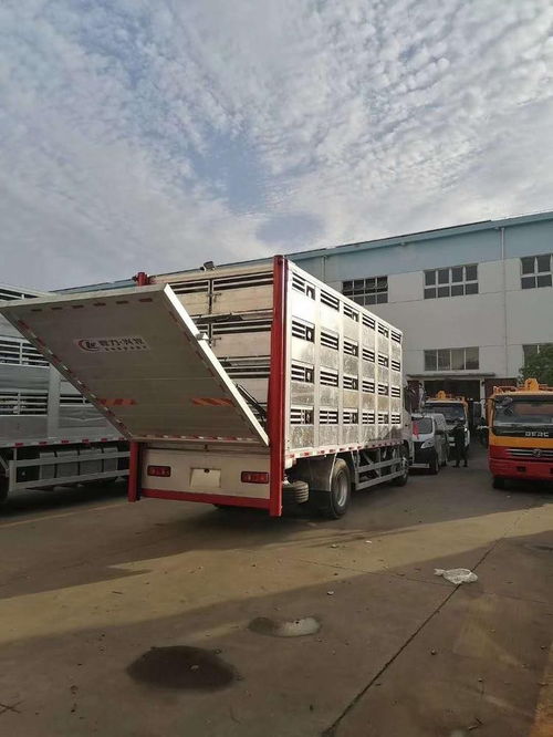 東風天龍畜禽運輸車 高效運輸解決方案，龍南運豬車靈活分期購