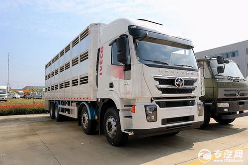 上汽紅巖前四后八國六鋁合金畜禽運輸車核心優勢解析