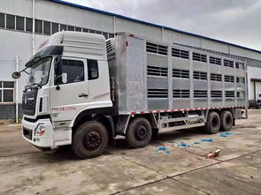 武漢畜禽運輸車保障畜牧產業平穩運行，專用車輛規范上路